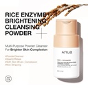 Rice Enzyme Brightening Cleansing Power 40g
