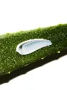 aloe-soothing-sun-cream-spf50-pa-cosrx-official-9.webp