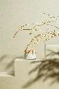 IFR_rice_cream_01.webp