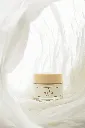 IFR_rice_cream_02.webp