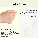 Cica_Spot_Patch_2.webp
