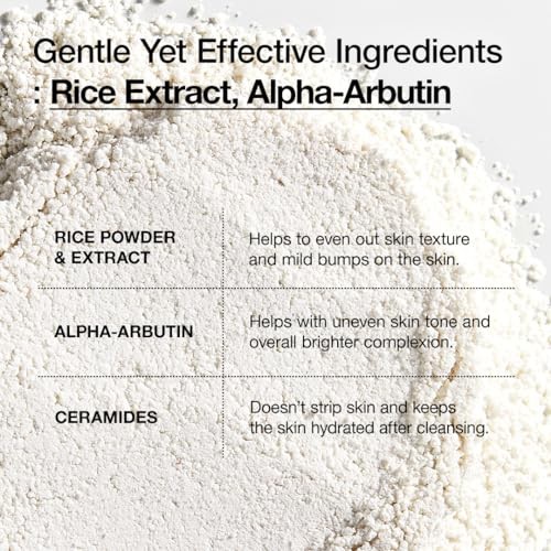 Rice Enzyme Brightening Cleansing Power 40g
