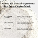 Rice Enzyme Brightening Cleansing Power 40g