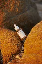 200715_Ampoule_55.webp